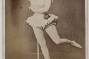 6b32522ef144a33b74da028a8400ea86