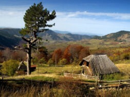 zlatibor priroda