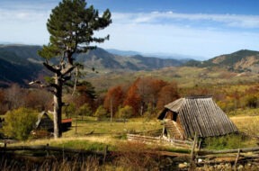zlatibor priroda