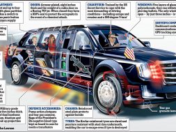 02M_TRUMP BEAST CUTAWAY