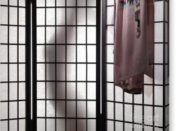 woman-behind-shoji-screen-oleksiy-maksymenko-canvas-print