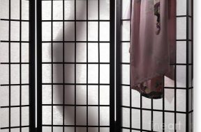 woman-behind-shoji-screen-oleksiy-maksymenko-canvas-print