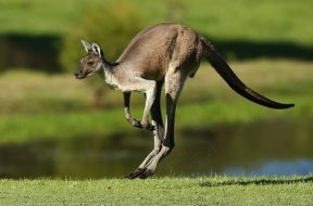 _96717609_mediaitem96715861