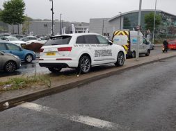 NINTCHDBPICT000431051377