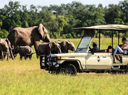 land-cruiser-car-hire