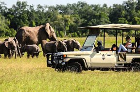 land-cruiser-car-hire