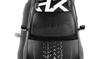 sandero-stepway-escape_1