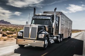 Article_166267_860_575