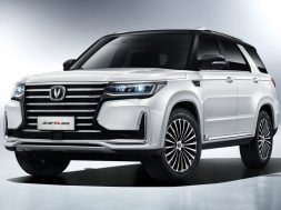 Article_167456_860_575