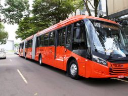 Article_167735_860_575