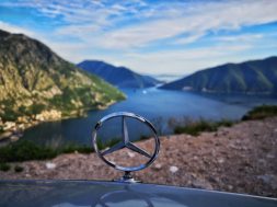 60254509_2467468273283929_684351756708085760_n