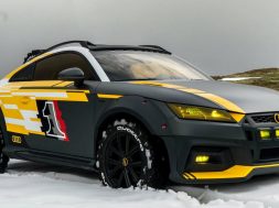 Audi TT Safari