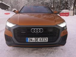 IMG_20190203_173605-1024×768