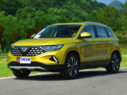 Article_168132_860_575