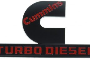 61JzDliolmL._SL1500_