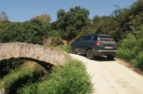 67868258_565864703946782_1783136143441657856_n