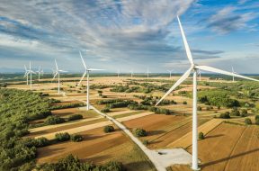 Wind turbines landscape in day light