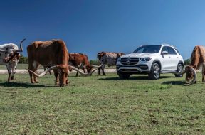 2020-mercedes-benz-gle-class-first-drive