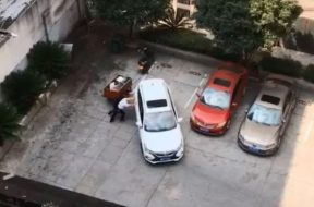 worlds-worst-driver-tries-15-times-to-back-into-parking-spot-still-fails-137822_1