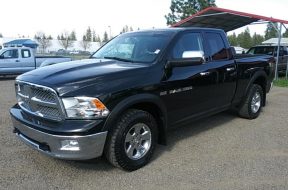 16c341a1e667ee8ee9a3d087c97791f1