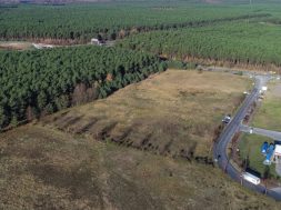 Landrat rechnet in Kürze mit Teslas Planungsunterlagen