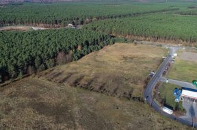 Landrat rechnet in Kürze mit Teslas Planungsunterlagen