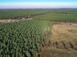 Geplantes Tesla-Gelände