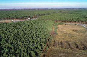 Geplantes Tesla-Gelände