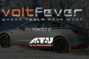 S8-un-des-premiers-grands-rassemblements-de-tesla-en-europe-181806