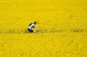 Frühlingswetter in Großbritannien