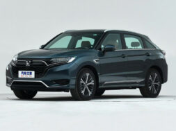 Article_170210_860_575