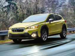 Article_170273_860_575