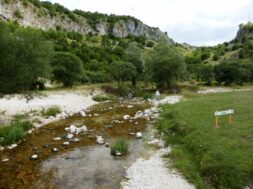 111237712_10218788113154818_8729530657017647062_o