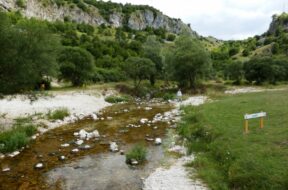 111237712_10218788113154818_8729530657017647062_o