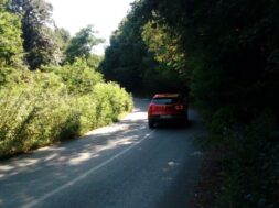 IMG_20200801_143632[1]