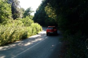 IMG_20200801_143632[1]