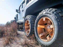 Article_171113_860_575