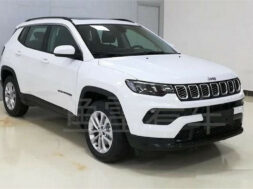 Article_171165_860_575