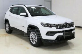 Article_171165_860_575