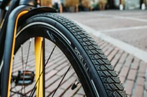 pirellicycl-ewtgoggia41_1