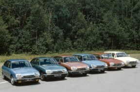 134157088_700154497369508_6176812022681383583_n