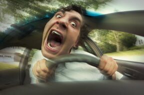 15729043582169.jpg.740x555_q85_box-32,0,1099,800_crop_detail_upscale