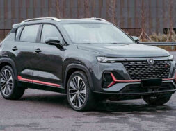 Article_171325_860_575