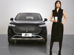 Article_171533_860_575