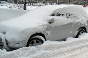 sneg-MK.jpg.740x555_q85_box-0,0,1849,1389_crop_detail_upscale