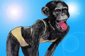 1638fc5e-1827-4a00-b04d-e2a57dd96f64