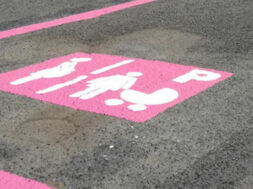 stalli-rosa-758×395