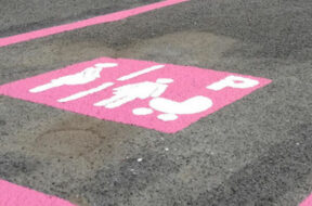 stalli-rosa-758×395