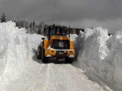 165217380_291994052356457_868272392594349208_n