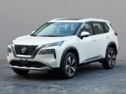 Article_171804_860_575